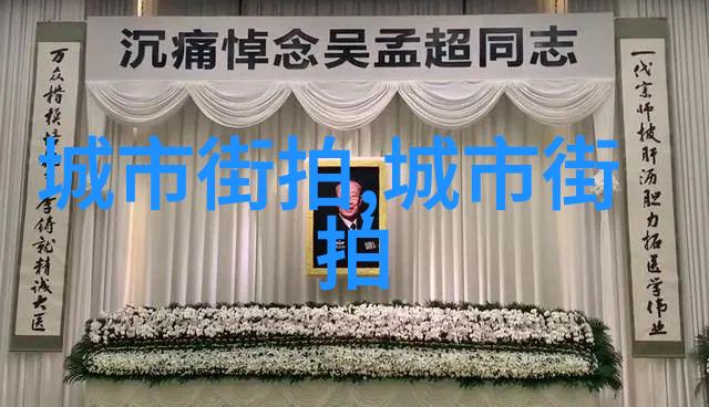 电动牙刷新宠W高C速度惊人打造快捷美齿体验