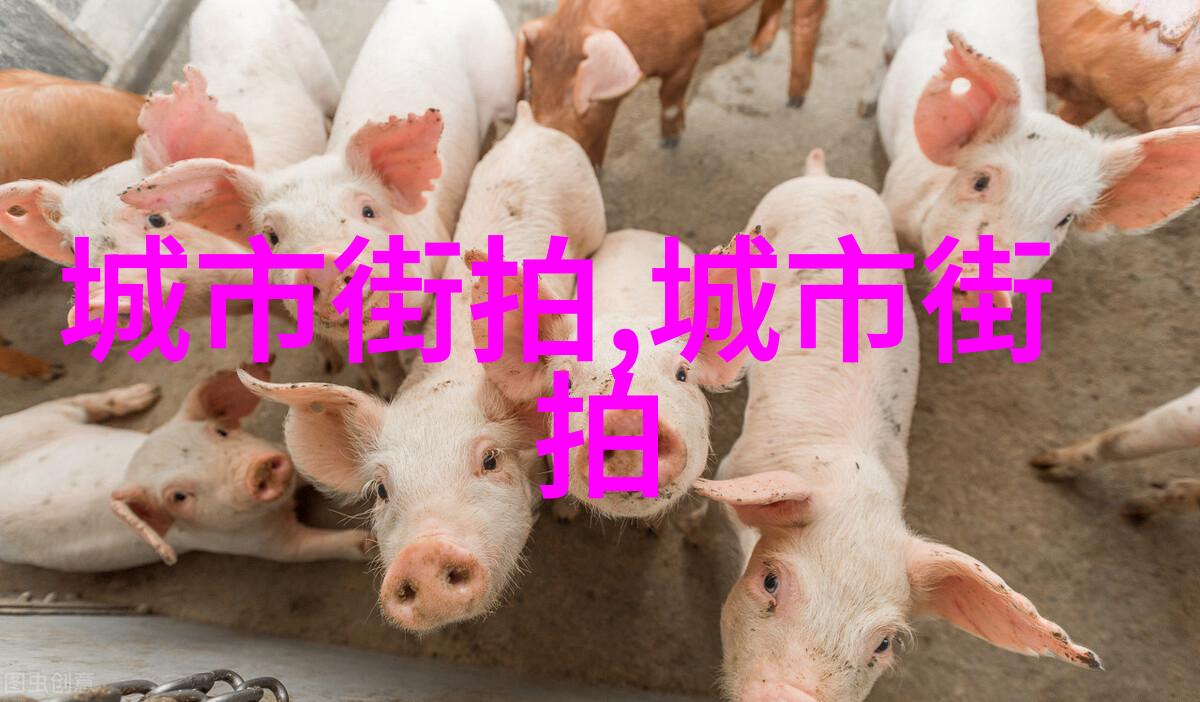 小衬衫和领带在男士小西装中的重要性是什么它们如何相互协调