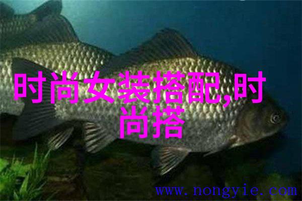 天穹之下星辰下的秘密世界