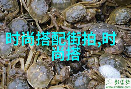 12岁女孩古风发型我也想当个小美人儿了