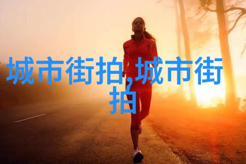 在无尽夜晚中霍利斯特如何找到希望和光明