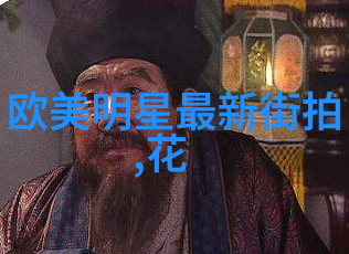 星光闪耀明星街拍的魅力之旅