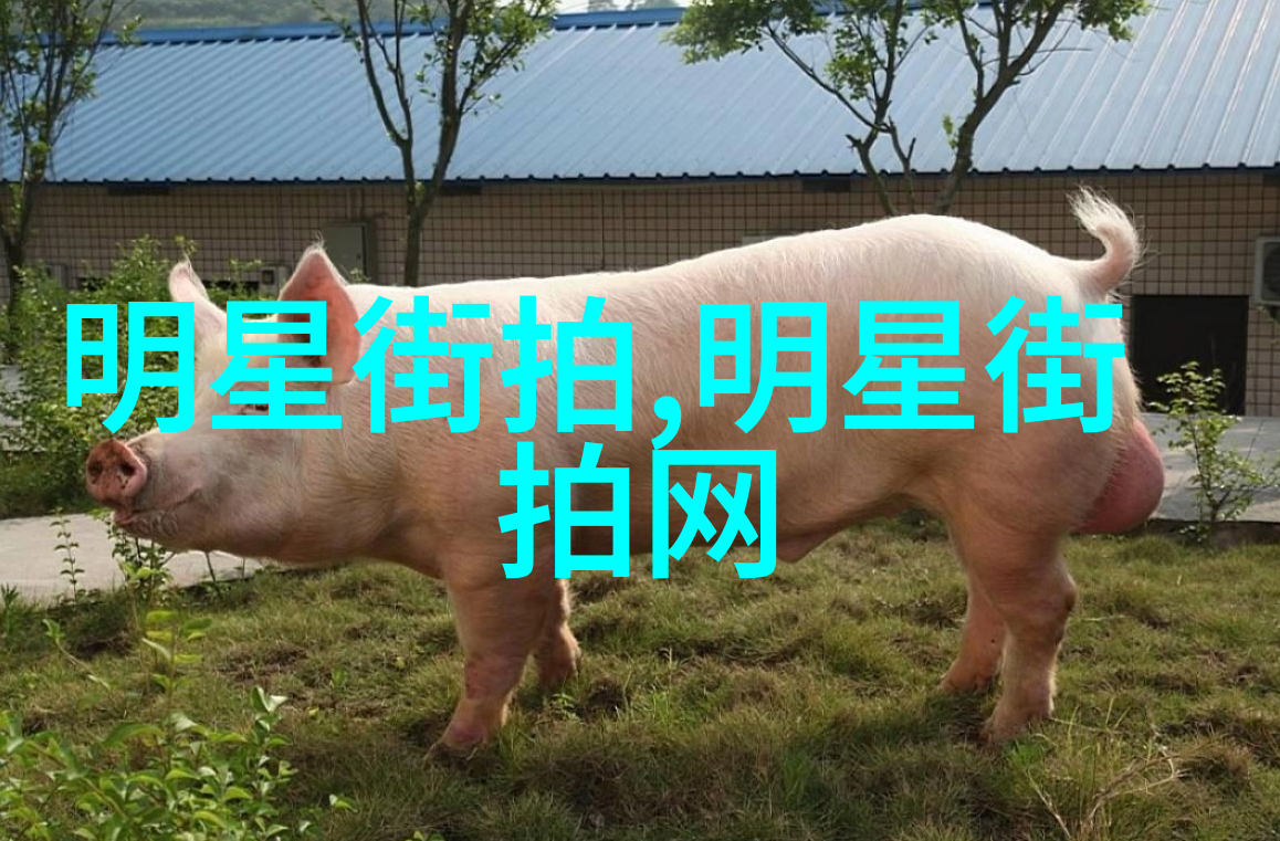 男生短发发型简约时尚的魅力与实用性探究