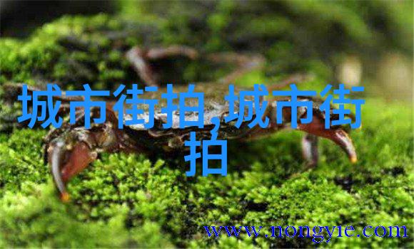 秀发风采一百种抒情长发造型