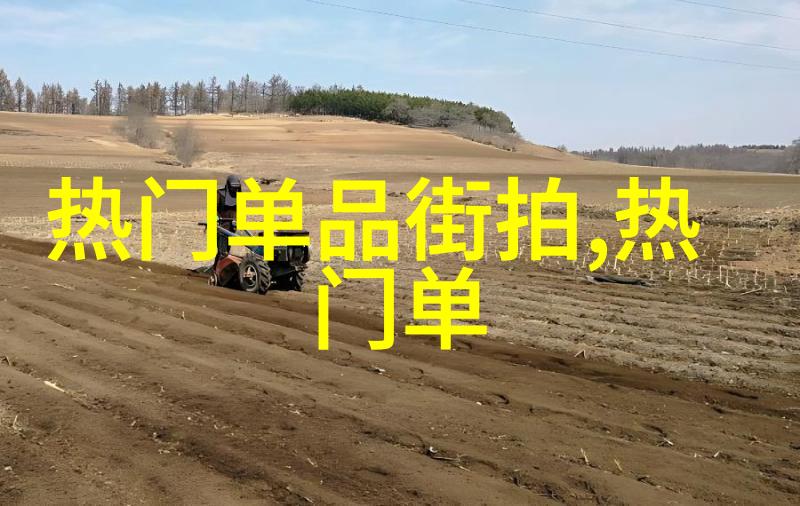 华人珠宝雕刻师陈世英打造世界最贵项链潮流图片人物展现其细腻技艺