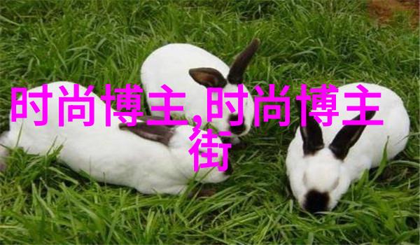 时尚界的新宠探索当前流行的短发造型