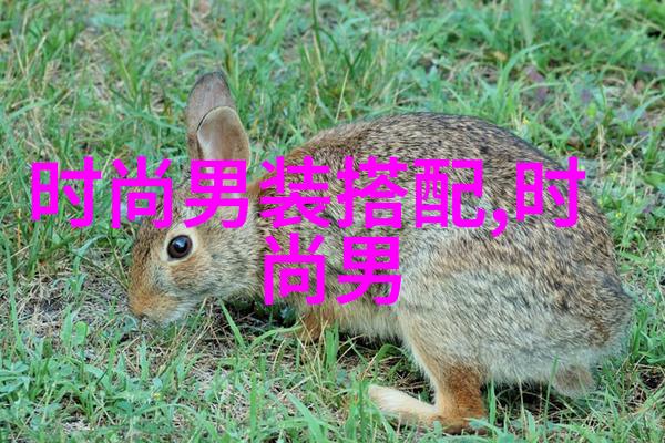 时尚指南-中短发40岁美人精选适合您每一款发型