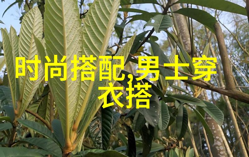 从经典到现代不同年龄段男士的最佳发型选择与图片推荐