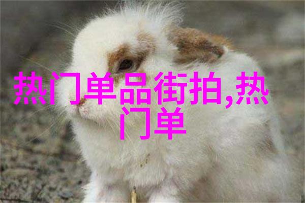 星辰之恋天空下的迪亚多纳交响曲