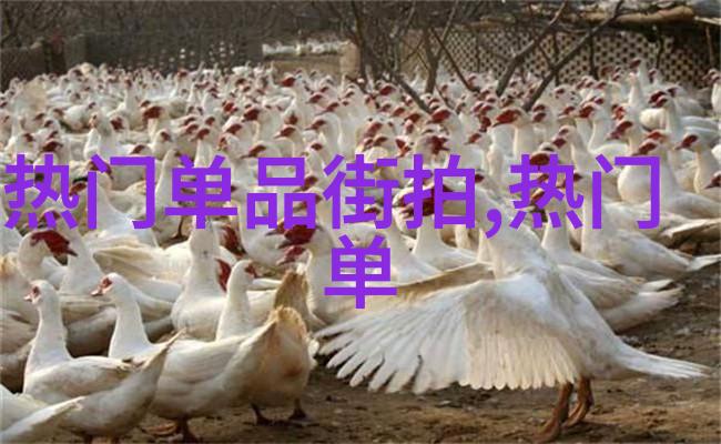 美丽启航编发化妆艺术的精彩之旅