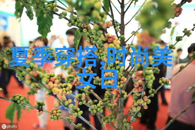 星光闪耀的秘密会面