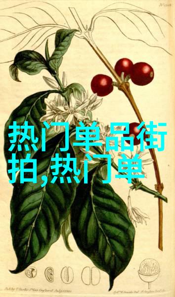 春日男士时尚穿搭指南轻盈而优雅的风格探索