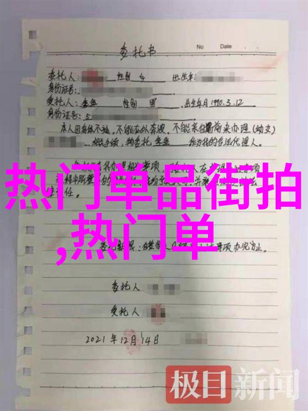 欧美私人家庭影院-欧洲风尚与美国梦想探索高端私人家庭影院的设计与科技