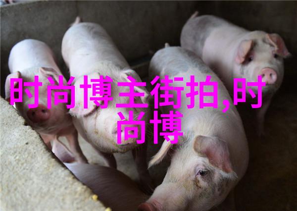 理发手法剪发艺术的语言游戏