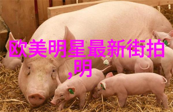 环境因素对选择最佳20123年最新款发型女有什么影响吗