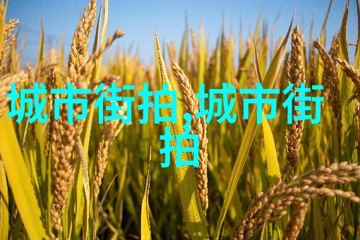 短发变身魅力大师如何选择适合自己的女中短发图片