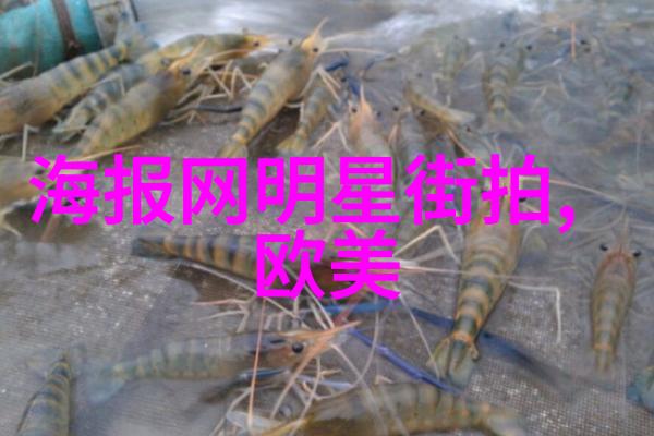 夏日阳台的秘密花园宝宝我们去那里做一次探险吧