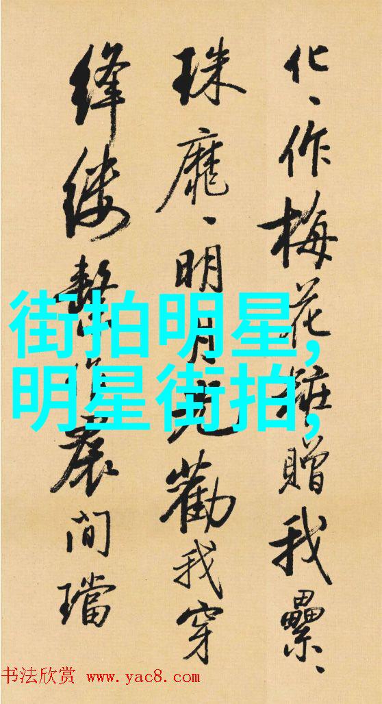 发型设计与脸型搭配完美的线条与面容之谜