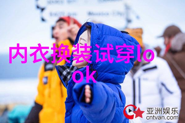 鸟与荆棘-翱翔者与刺绣的界限