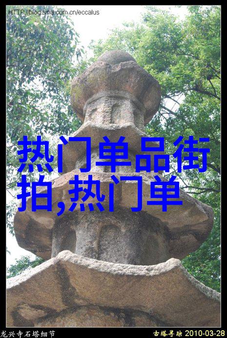 玩头发服务我怎么把自己的秀发变成了时尚的作品