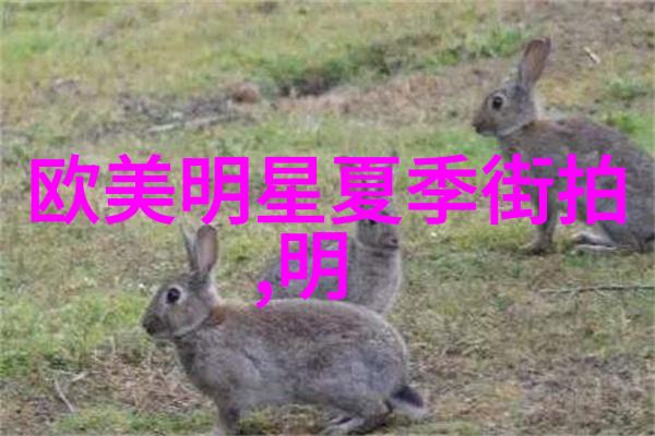 短外套背后的故事究竟是什么
