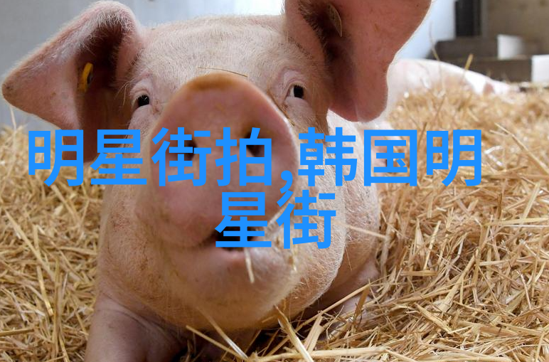 科技探索-2秒钟的奇迹人工智能在决策中的应用