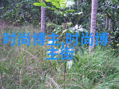 时尚界的新宠男士发型潮流大赏