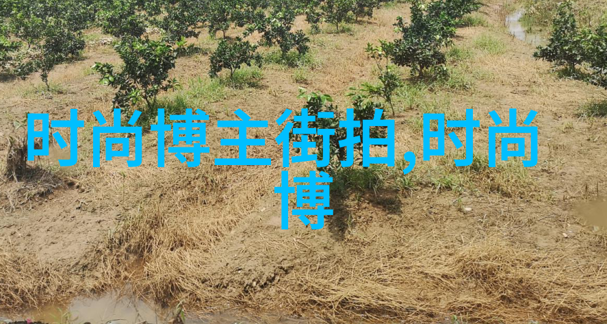 网名我想起了那个4个字的玩意儿