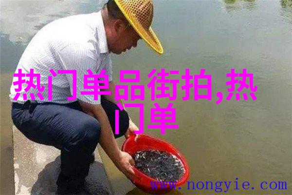 衣柜中的幻影