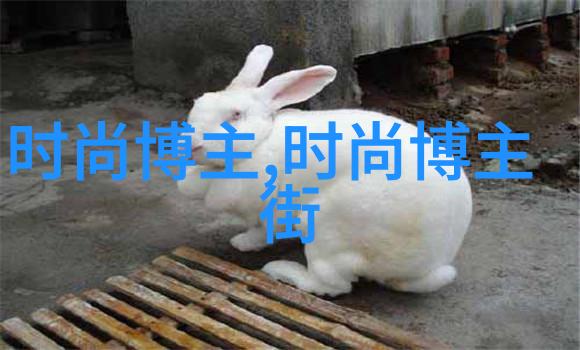 全球拍卖王国探索eBay的奇妙世界