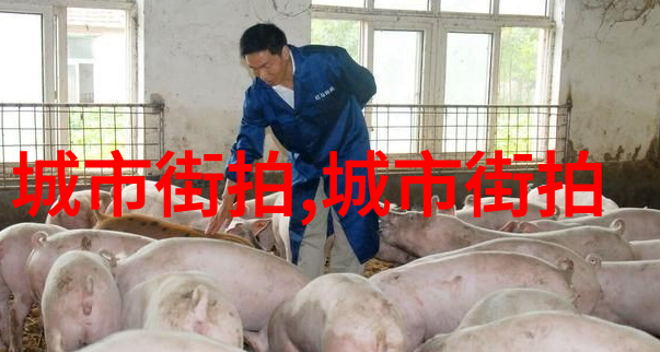 让袖口舞动让裙摆飘扬衣邦服饰中的动态美学
