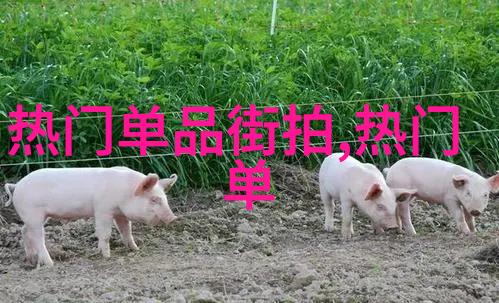 剃光或留长解析不同年龄段适合的男士发型选择