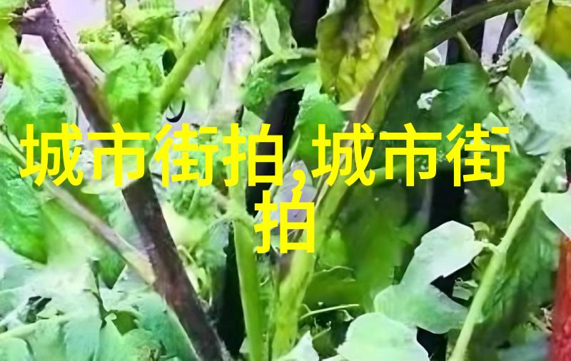 探秘宇宙奥秘揭开神秘黑洞的面纱