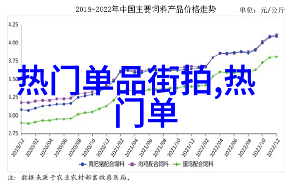 贝雷帽的时尚魅力夏季必备的军事风格头饰