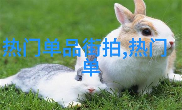 夏日轻松的西装风格探索