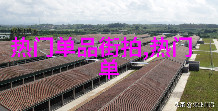 探索霍利斯特精神的深度勇士与和平的双重面貌