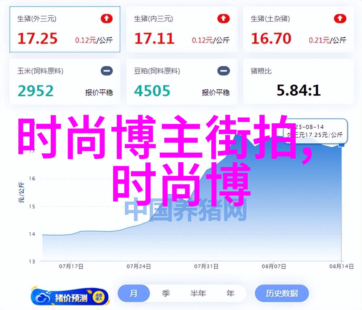 美人效应-倾城之光揭秘美人效应背后的心理与社会机制