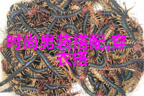 新手剪发教学视频来点自学小能手的秘诀