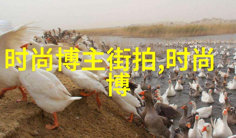 春日暖阳下的海棠之门