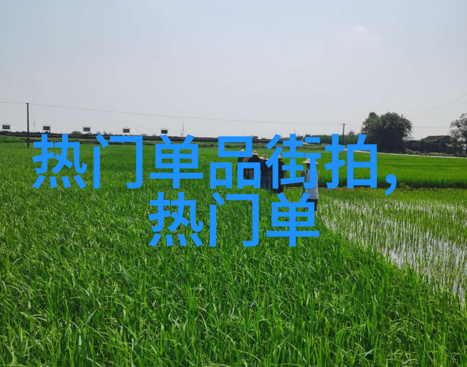 滴水的门卫守护与寂静的交响