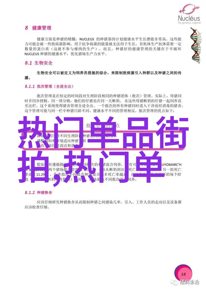 2023年最新发型短发时尚趋势与造型技巧