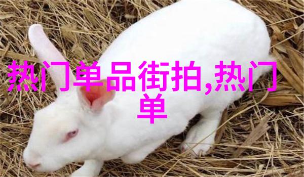 马总的葡萄宠儿一颗小果实多重情感