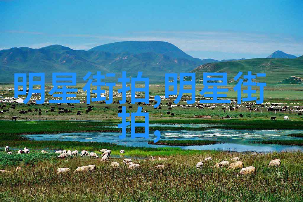 超高清革命4ktube xxhd如何改变内容创作游戏规则