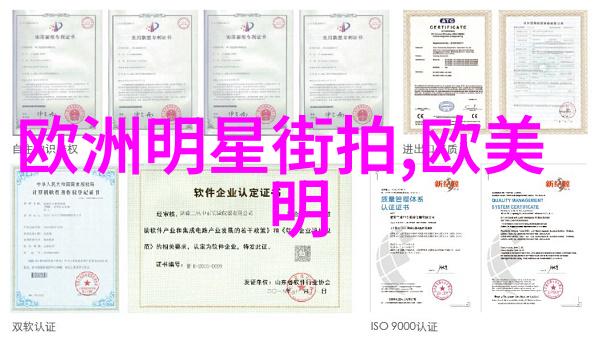 从分叉到梳子一次性改变你的30后男性造型技巧大揭秘