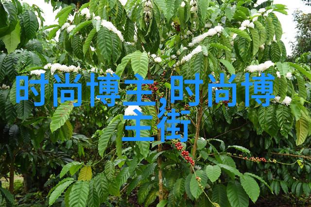 超实用各种脸型适合的最佳短发头像推荐