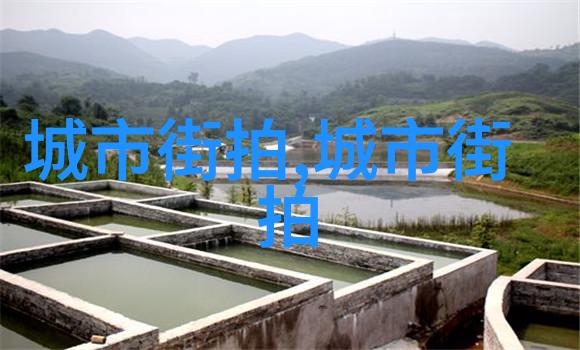 如何选择一款既时尚又适合五十肩的发型