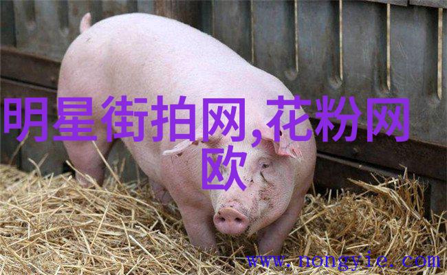 男士搭配衣服的软件-时尚达人男士搭配软件助您成为街头风格大师
