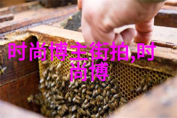 李连杰的现状对他的事业有什么影响