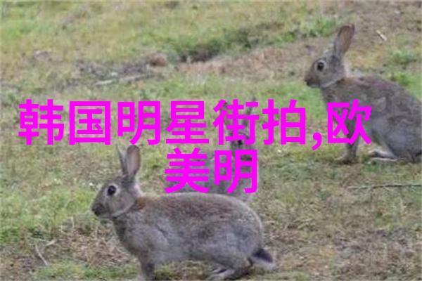 星辰变2全集下载揭秘宇宙奥秘的奇幻旅程