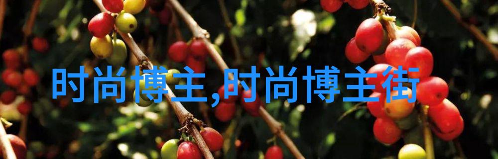 挑选属于你的帽子品牌打造独特个性的时尚之旅